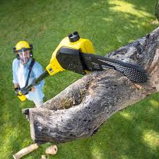 Best Pest Control for Lawns  in Plano, KY